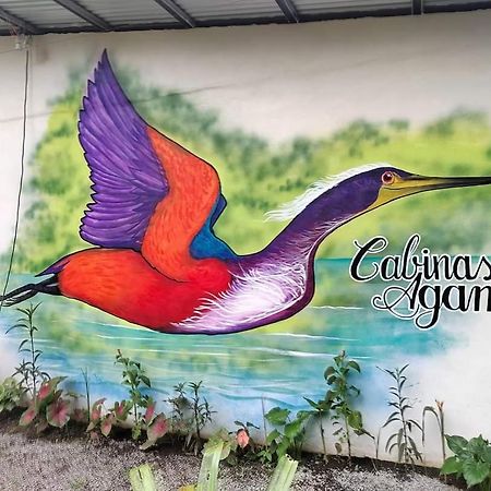Cabinas Agamy Tortuguero Exteriör bild