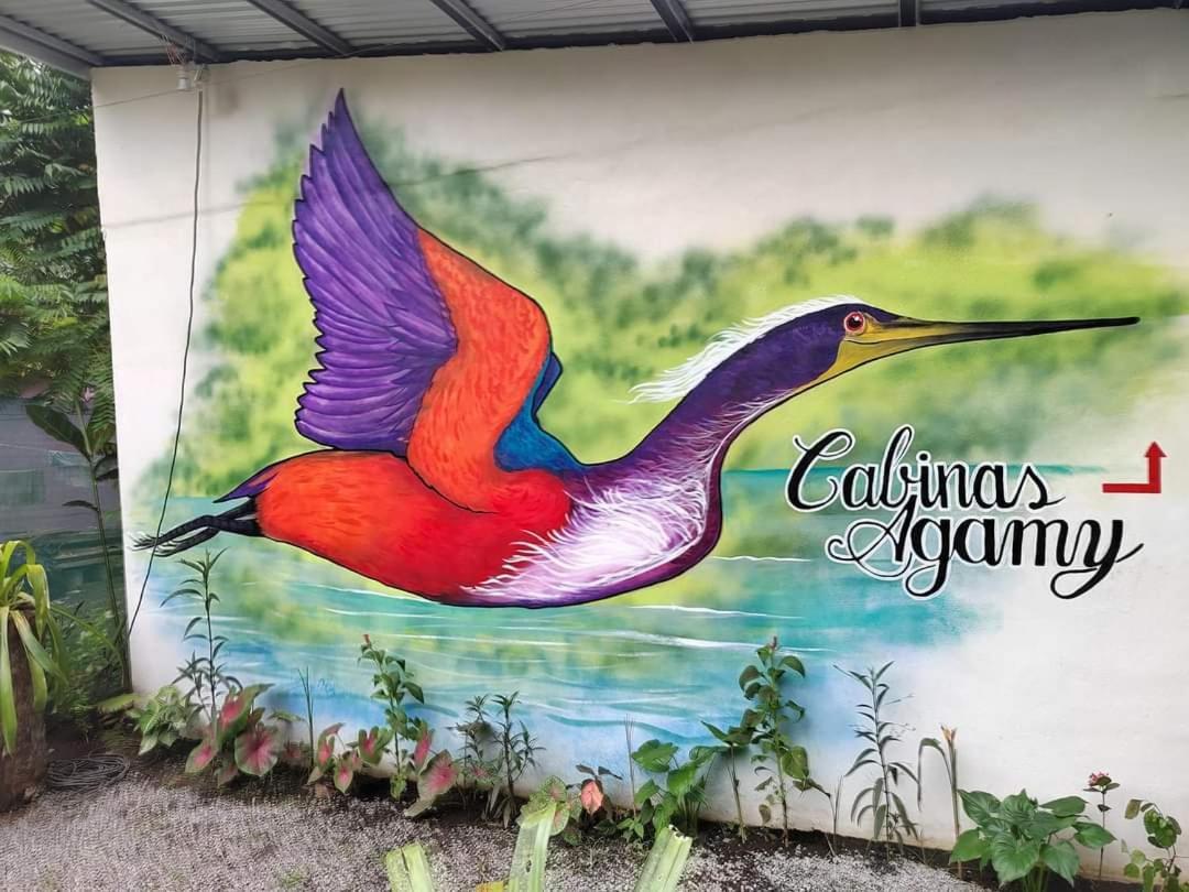 Cabinas Agamy Tortuguero Exteriör bild