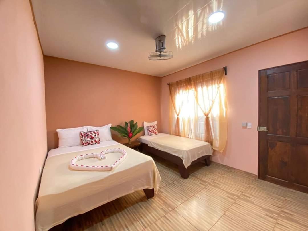 Cabinas Agamy Tortuguero Rum bild