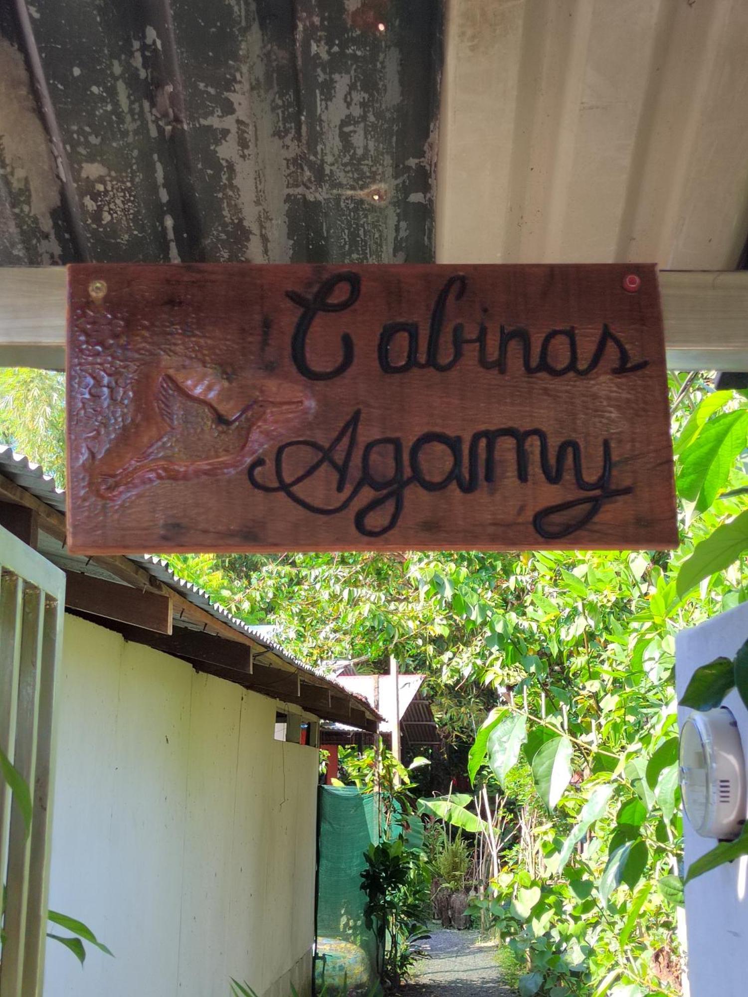 Cabinas Agamy Tortuguero Exteriör bild